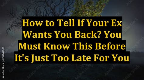 How To Tell If Your Ex Wants You Back You Must Know This Before Its