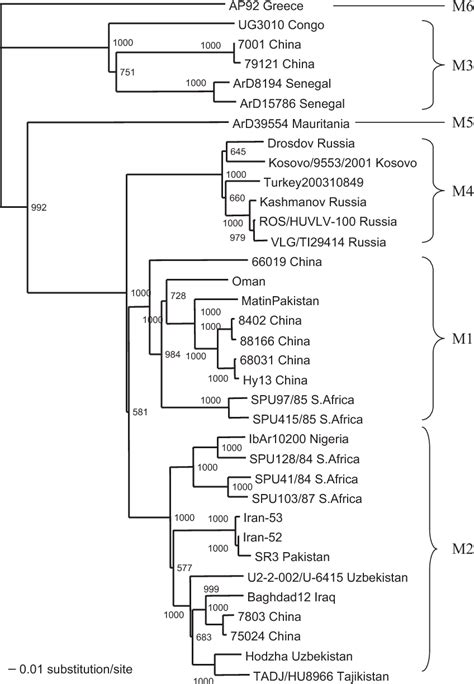 Figure 2 From Recent Progress In Molecular Biology Of Crimean Congo