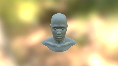 Male Head A 3d Model Collection By Sirafima Sketchfab