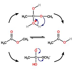 Coordinate (dative) Covalent Bond with Examples