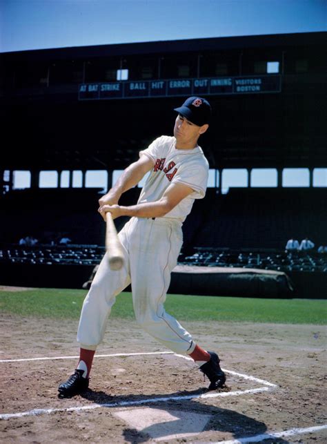 Ted Williams Ted Williams What Is Baseball Ted