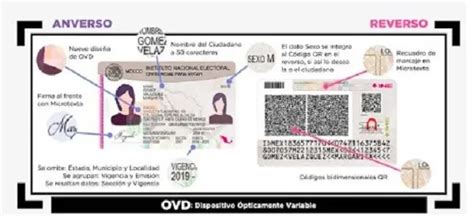 Cómo Puedo Saber El Número De Folio Del Ine 2024 Ecu11