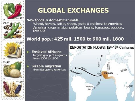 The Worldeconomy Exchanges Captialism Colonialism And Empire Building