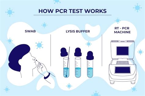 Free Vector How Pcr Test Works