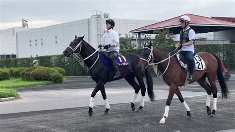 東スポ競馬 On Twitter 悲願のg1制覇に向け ディープボンド 宝塚記念 モーイ