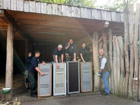 Neue Sikahirsche Im Tierpark Nordhorn Ems TV