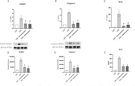 Figure From Levosimendan And Dobutamin Attenuate Lps Induced