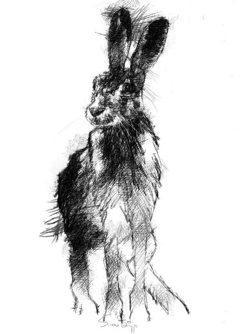 Brown Hare Seanbriggs Amazing Drawings Sketches Cool Drawings