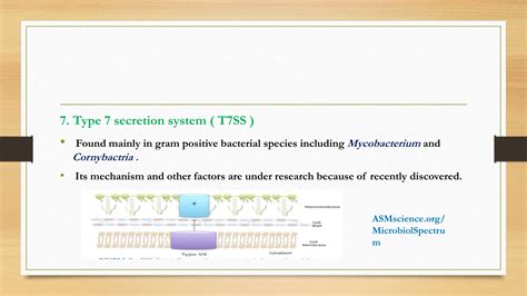 Bacterial Secretion System And Types Pptx Free Download