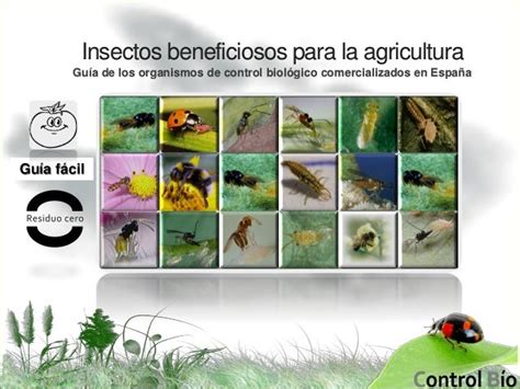 Insectos Benefiosos Para La Agricultura