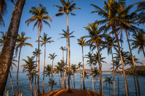 Ultimate Sri Lanka Bucket List 29 Epic Experiences Laure Wanders