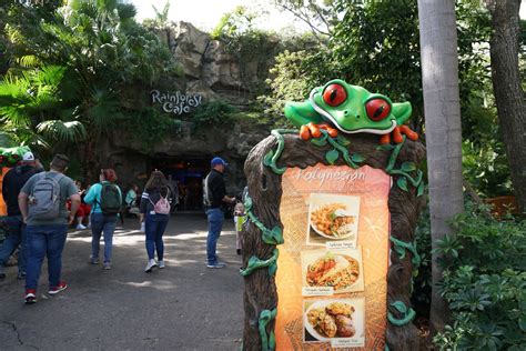 Rainforest Cafe Disneys Animal Kingdom Wanderdisney
