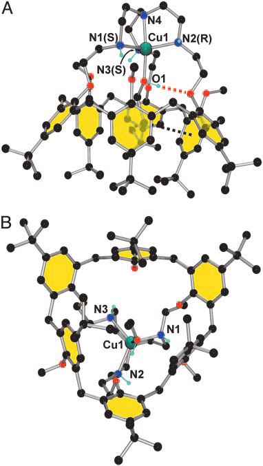 Crystal Structure Of Complex [cu Calix[6]tren Etoh ] Clo4 2 A Side Download Scientific