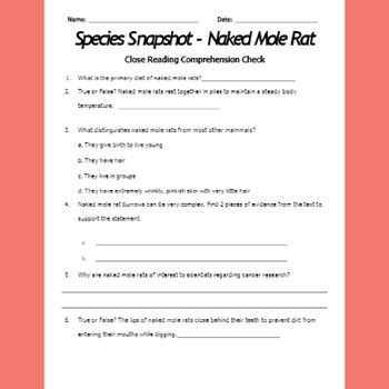 Naked Mole Rats Reading Comprehension Worksheet Pack By Mattei Francois