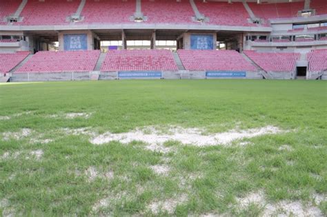 FOTOS SPORT e ÍBIS pode ser adiado por conta do GRAMADO da ILHA DO