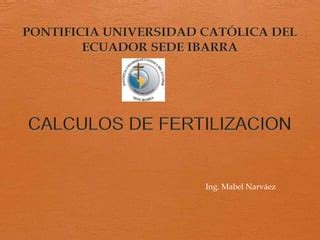 Calculos De Fertilizaci N PPT