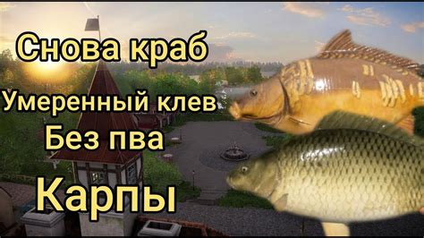 #рр4 Янтарное карп на краб - YouTube