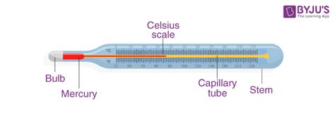 Diagram Of Digital Thermometer With Label