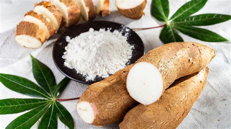 Tapioca Vs Cassava Flour What S The Difference