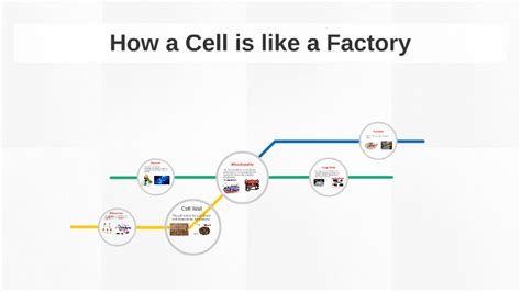 How A Cell Is Like A Factory By Dylan Goodburn