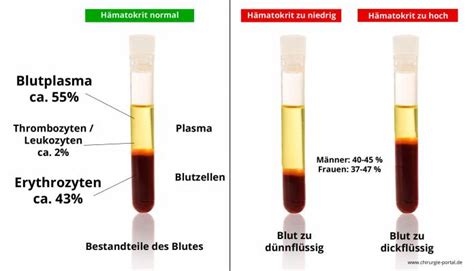 Hämatokrit welche Bedeutung hat dieser Blutwert