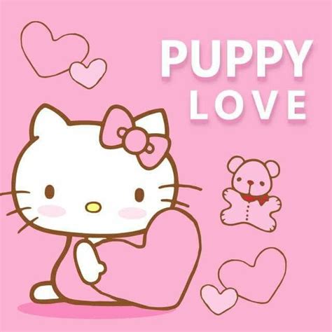 Puppy Love Hello Kitty Kitty Sanrio Characters