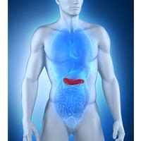 How Quickly Does Pancreatitis Develop