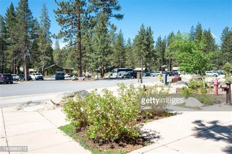 Donner Memorial State Park Photos And Premium High Res Pictures Getty Images