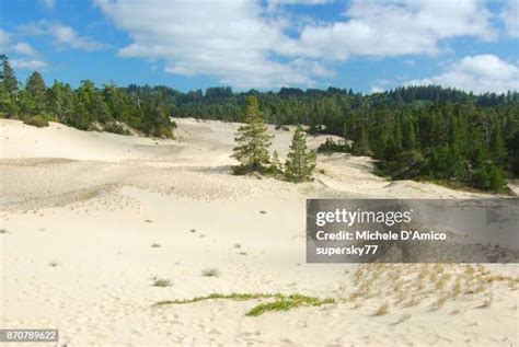 Oregon Dunes National Recreation Area Photos And Premium High Res