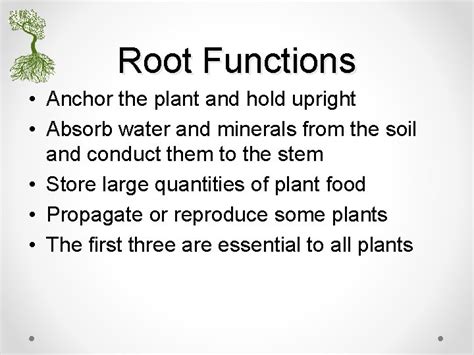 Parts of Plants and their Functions Objectives Note