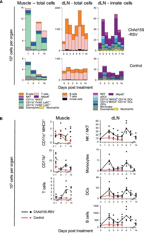 Frontiers Innate Immune Responses To Chimpanzee Adenovirus Vector