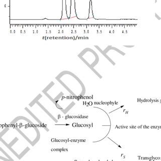 PDF Synthesis of Octyl β Glucoside Catalyzed by Almond β Glucosidase