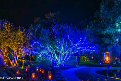 Holiday Lights Magical Brookgreen Gardens | A Traveling Gardener