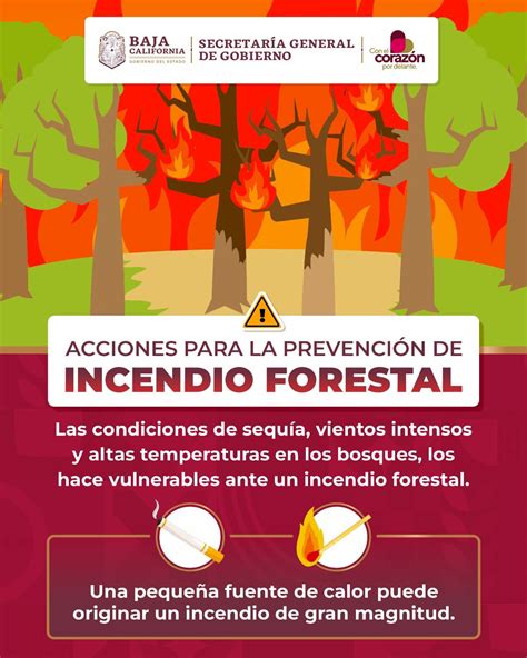 Emite Protecci N Civil Bc Recomendaciones Ante Temporada De Incendios