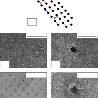 A C Low And B D High Magnification SEM Images Of The Surface Of