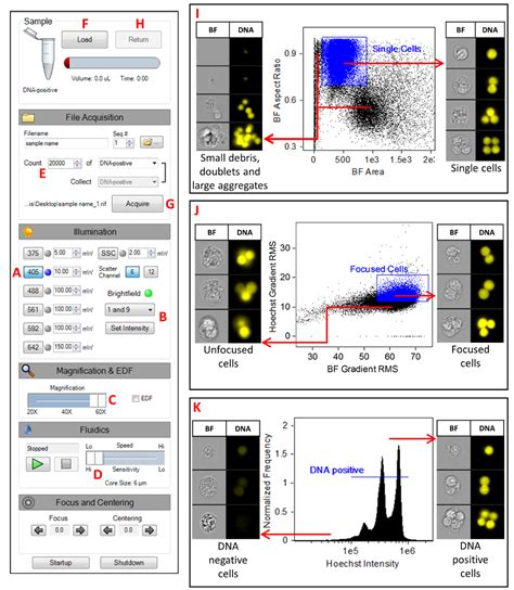 An Automated Method To Perform The In Vitro Micronucleus Assay Using