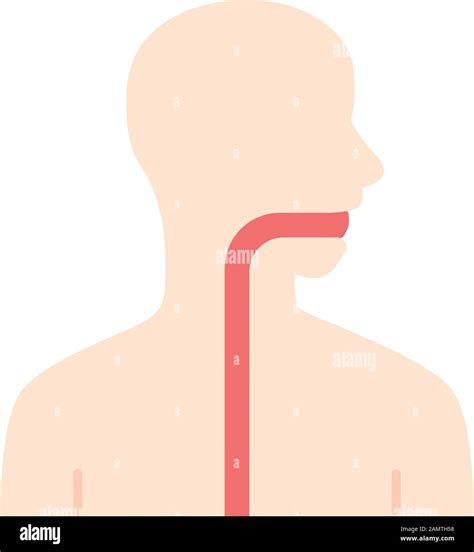 Healthy Throat Flat Design Long Shadow Color Icon Oral Cavity Pharynx