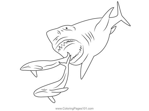 Megalodon Shark Coloring Page For Kids