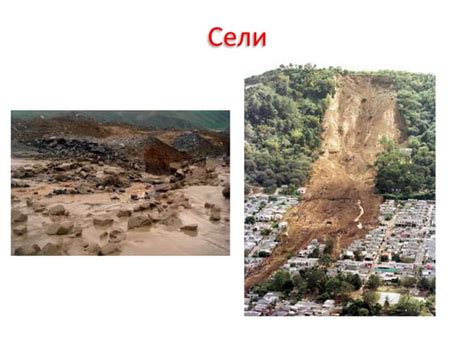 сели