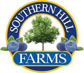 Southern Hill Farms - Blueberry, Peach, Zinnia, Sunflower U-Pick