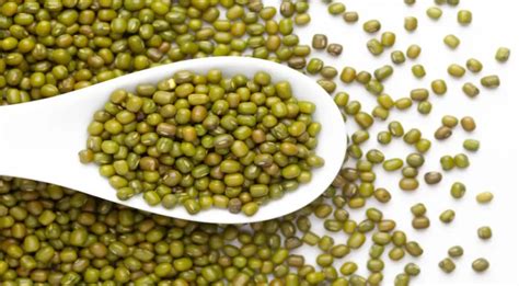 Маш - описание продукта, как выбирать, как готовить, читайте на ...