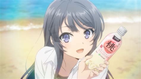 Pin on Rascal Does Not Dream Of Bunny Girl Senpai