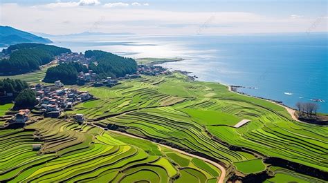 一排排綠色水稻梯田的鳥瞰圖 慶南 梯田 國內旅行背景圖片和桌布免費下載