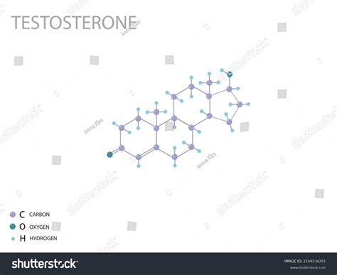 Testosterone Molecular Skeletal 3D Chemical Royalty Free Stock Vector