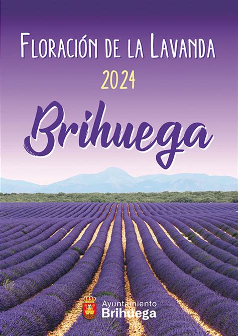 Floración de la la Lavanda en Brihuega 2024 Turismo en Brihuega