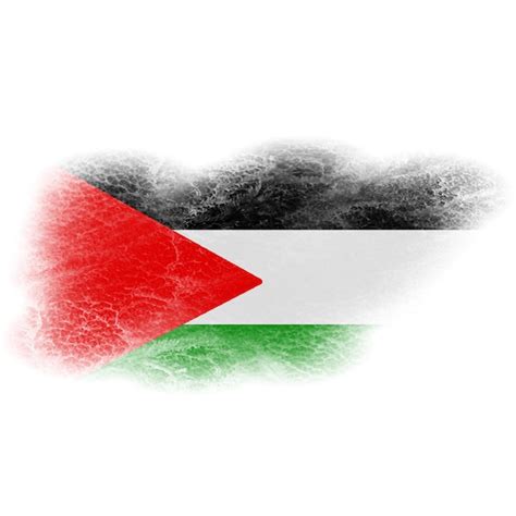 La Bandera De Palestina En El Pincel Foto Premium