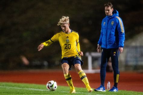 Lucas Bergvall: The Rise of Tottenham's Swedish Sensation