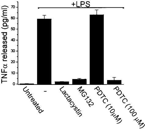 Effects Of Nf B Inhibitors On Lps Induced Tnf Release Cardiac Cells