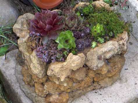 Hypertufa Planter Made With Hypertufa Rocks Concrete Planters Garden Concrete Yard Garden