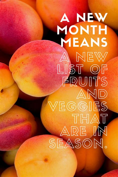 Apricot Season Fruit List Fruit Fruits And Veggies